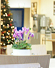  Koschinski Catering Siemensallee 